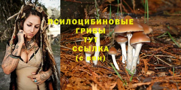 а пвп мука Алзамай