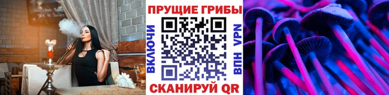 Галлюциногенные грибы GOLDEN TEACHER купить закладку Заводоуковск