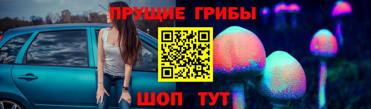 Псилоцибиновые грибы прущие грибы  Галлюциногенные грибы GOLDEN TEACHER  Заводоуковск  Вход с VPN 